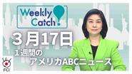 3月17日 Weekly Catch!