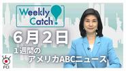 6月2日 Weekly Catch!