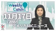 11月17日_Weekly Catch!