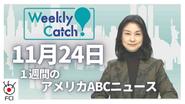 11月24日　Weekly Catch!