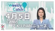4月5日　Weekly Catch!