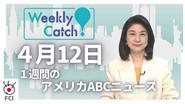 4月12日　Weekly Catch!