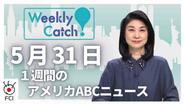 ５月３１日　Weekly Catch!