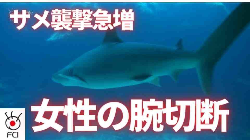 サメ襲撃被害急増　女性の腕切断