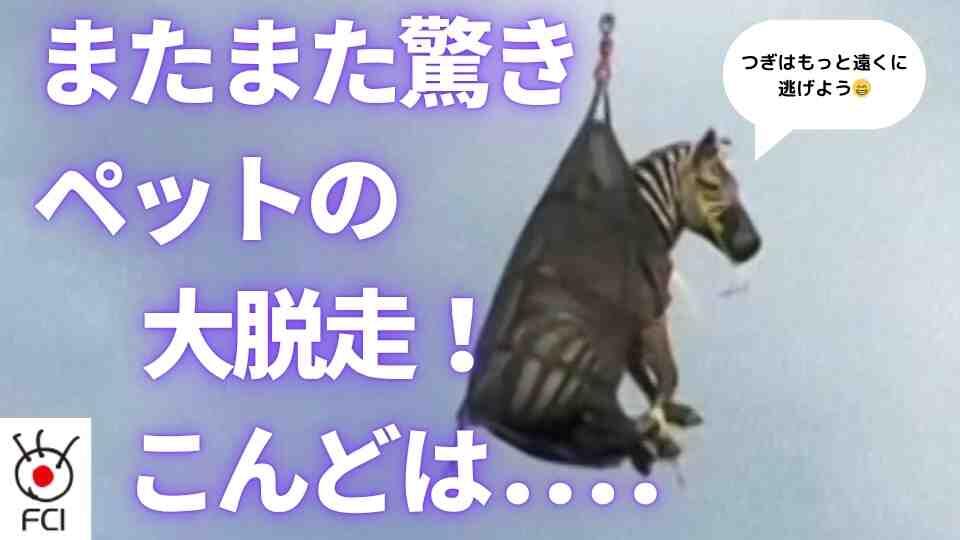 テネシー州 めずらしいペットが逃走 
