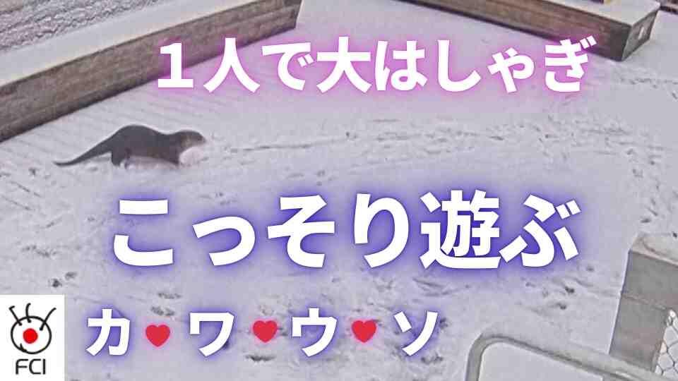 メリーランド州 水族館で遊んでいたのは... 