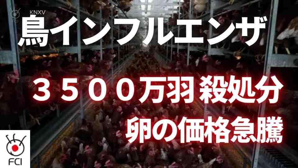 鳥インフル蔓延　卵価格が高騰