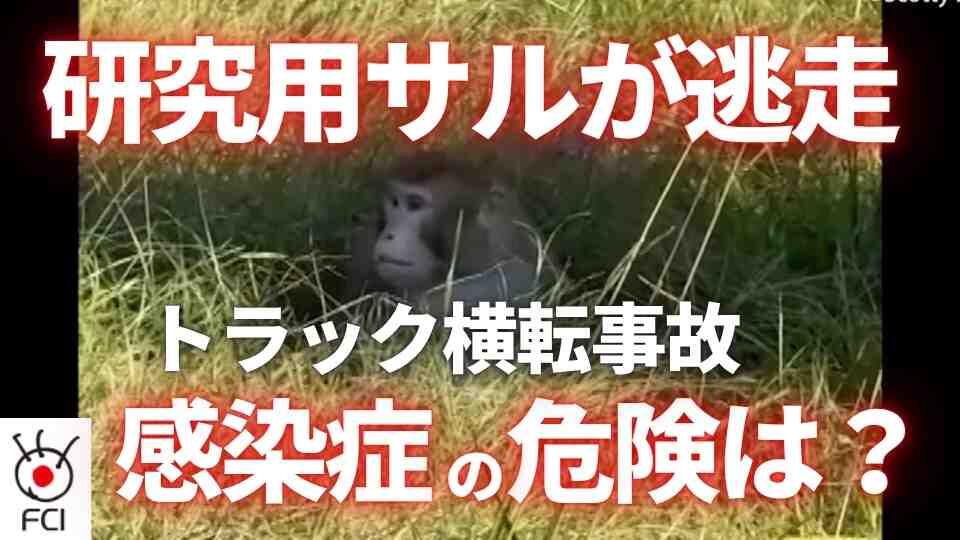 運搬トラック横転　研究用サル3匹の捜索続く 