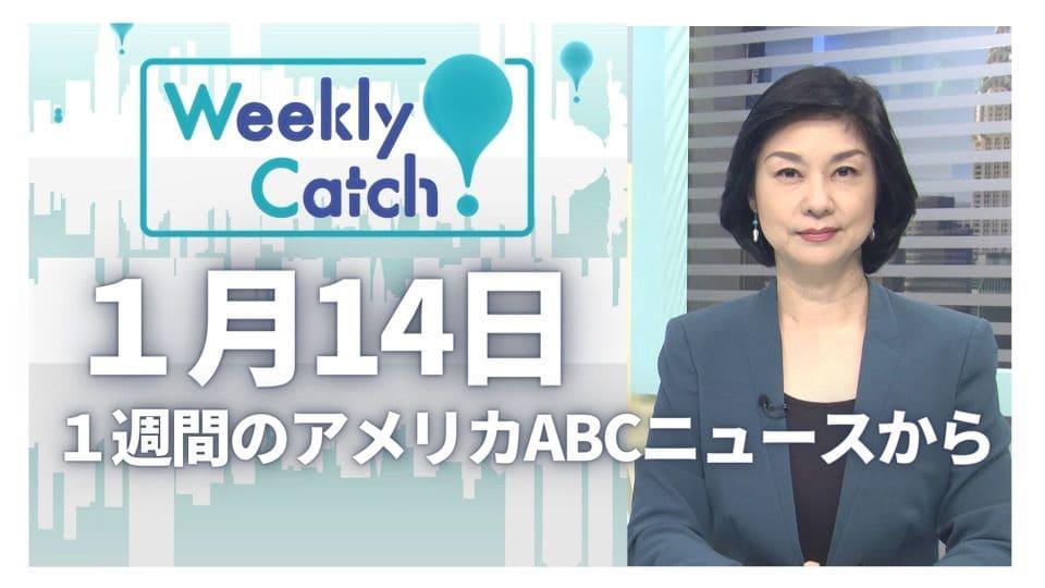 1月14日 Weekly Catch!
