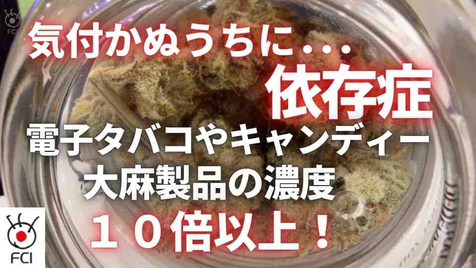 米で合法化進む大麻「気付かぬうちに」依存症増加か