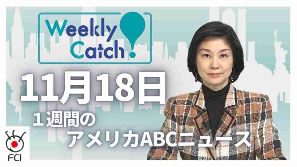 11月18日 Weekly Catch!