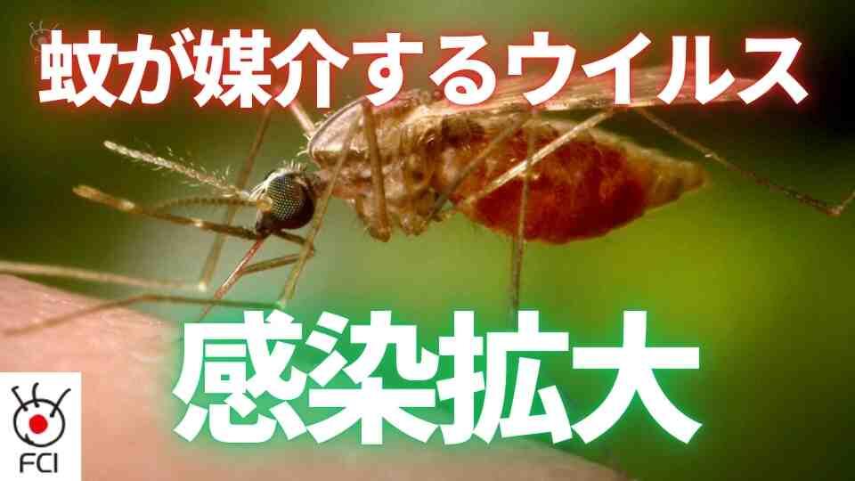 蚊のウイルス流行の兆し　感染で１人死亡確認