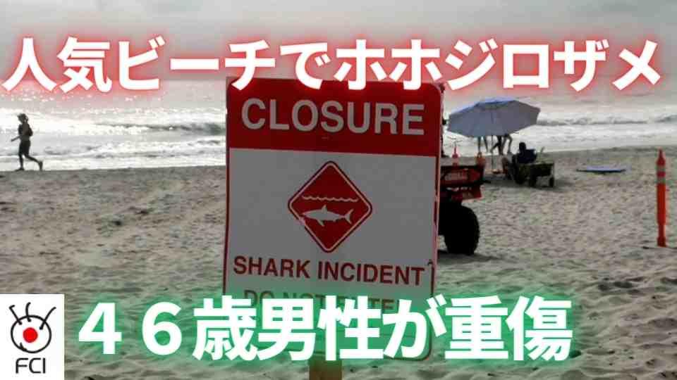 西海岸人気ビーチ　サメ襲撃で男性重傷　