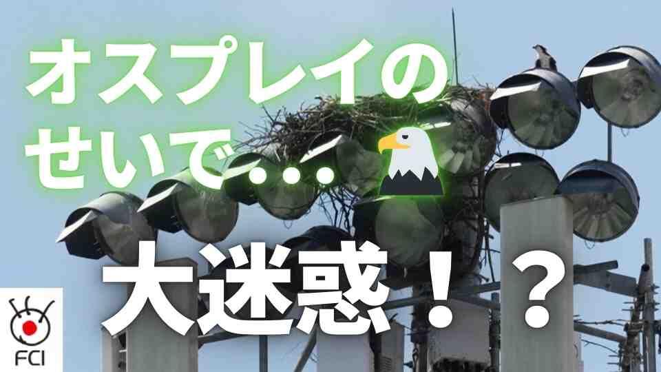 「イーグルス」の試合日程「オスプレイ」のせいで変更に？