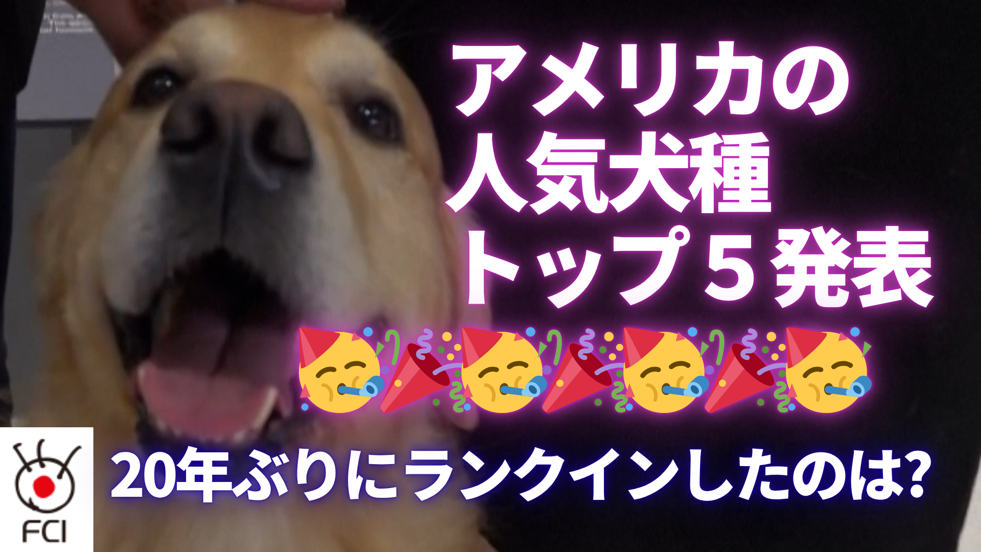 TOP5は？ 人気の犬種ランキング