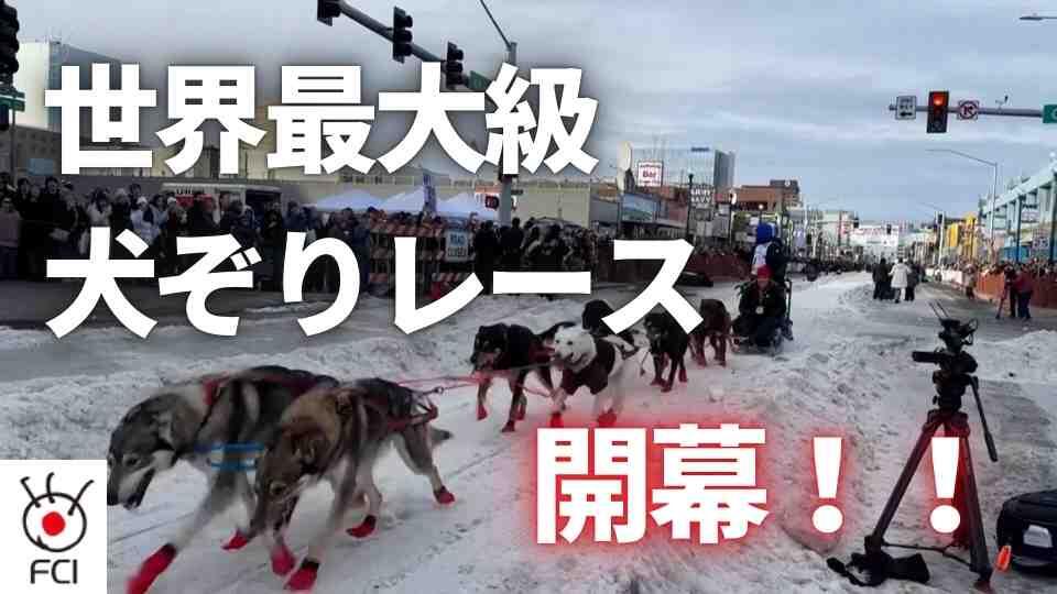 世界最大級の犬ぞりレース「アイディタロッド」開幕 