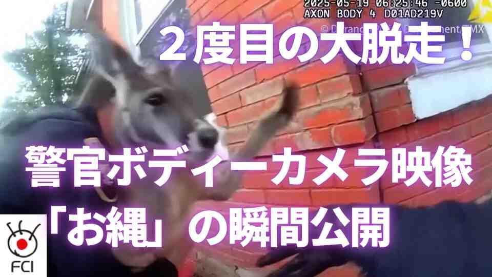 コロラド州で脱走劇２度目の「確保」の一部始終