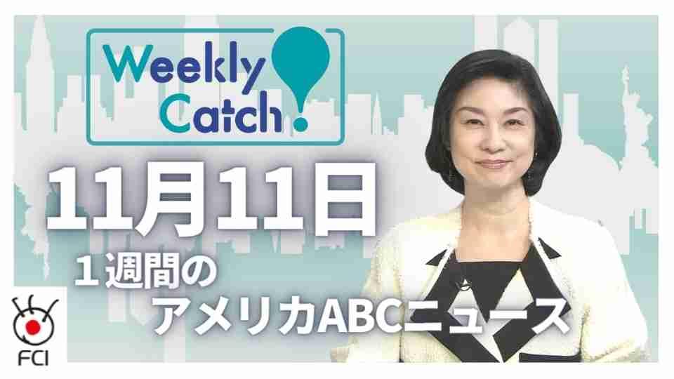  11月11日 Weekly Catch!