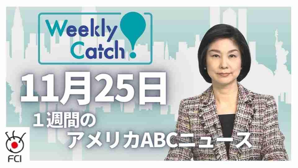 11月25日 Weekly Catch!