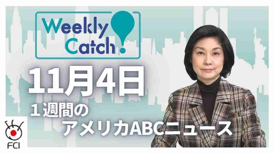 11月4日 Weekly Catch!