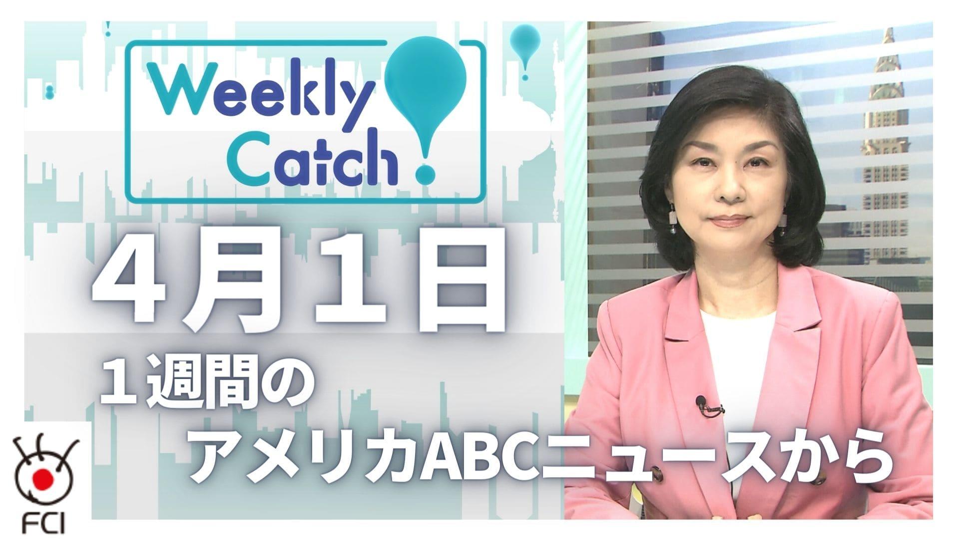 4月1日 Weekly Catch!