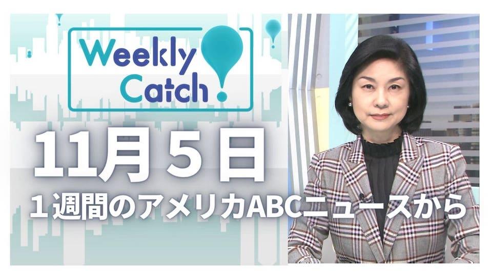 11月5日 Weekly Catch!