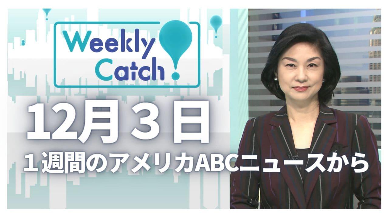 12月3日 Weekly Catch!