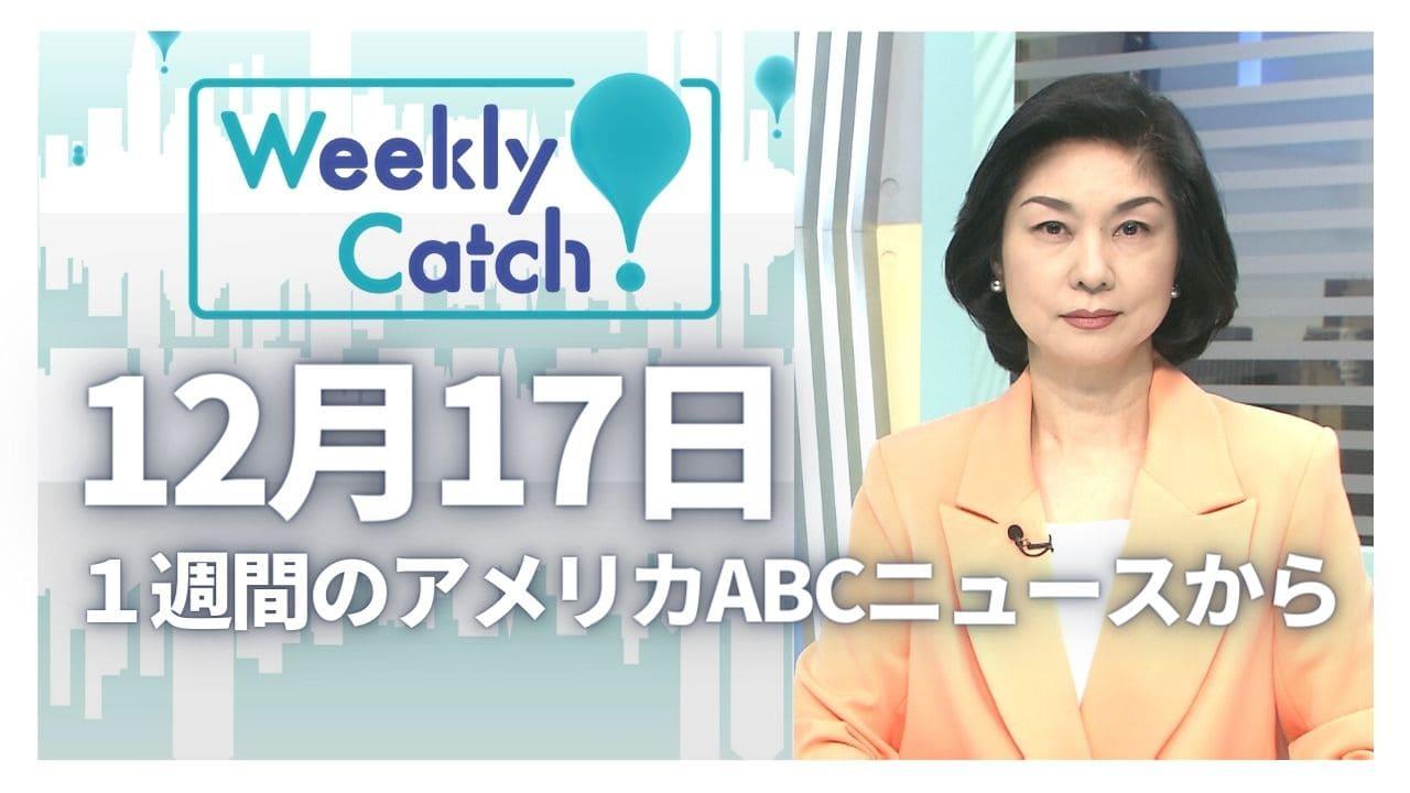 12月17日 Weekly Catch!