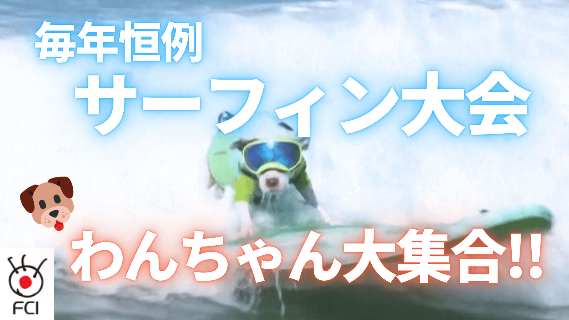 毎年恒例 わんちゃんサーフィン大会