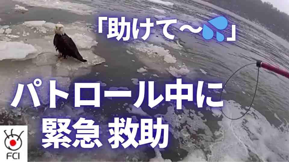 ニューヨーク ハドソン川の氷の上に... 