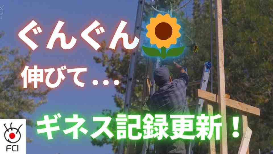 アメリカ初の快挙 ぐんぐん育って新ギネス記録