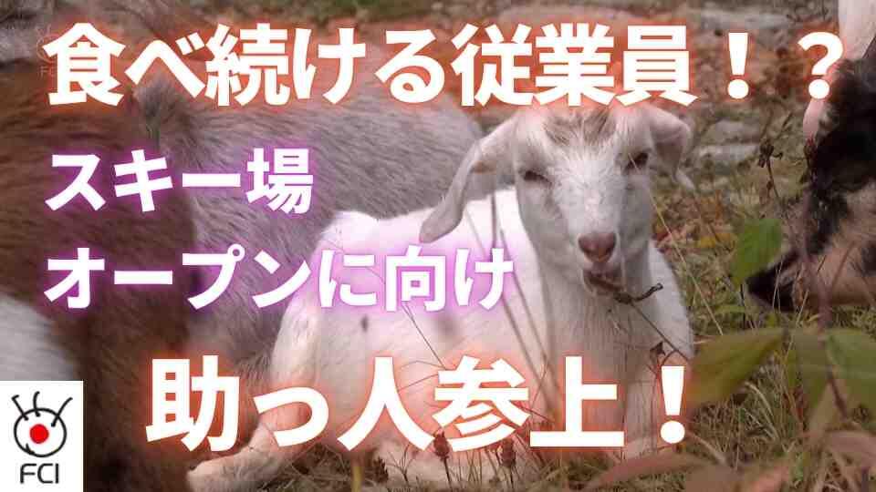 オープン前のスキー場で助っ人大活躍