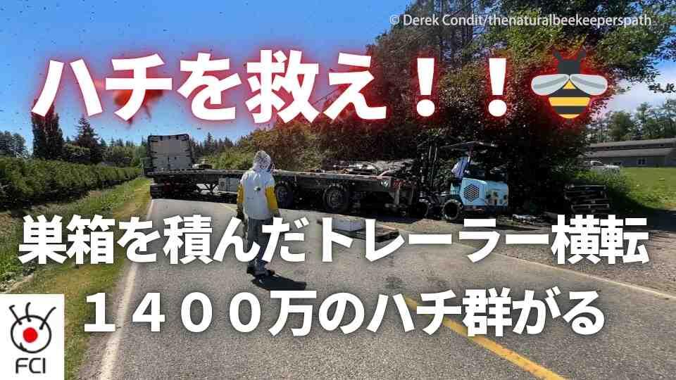 大型トレーラー横転 積荷から大量に飛び出したのは... 