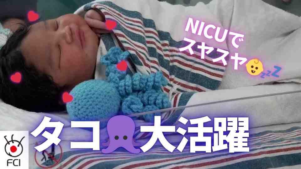 タコの「編みぐるみ」病院で大活躍