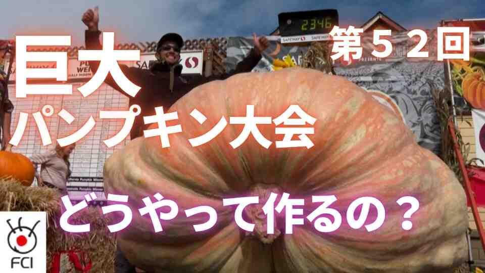 まもなくハロウィーン 巨大パンプキン大会 