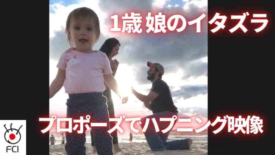 1歳娘のやんちゃなイタズラ　プロポーズでハプニング映像？