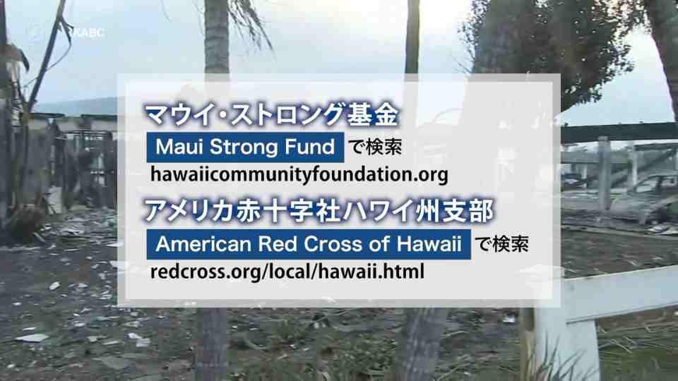 ハワイ州マウイ島の山火事　被災者支援の情報
